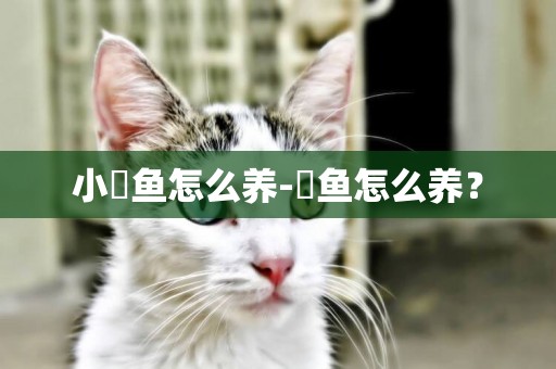 小魟魚怎么養-魟魚怎么養？