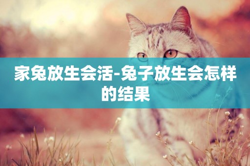 家兔放生會活-兔子放生會怎樣的結果