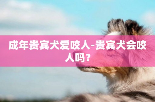 成年貴賓犬愛咬人-貴賓犬會咬人嗎？