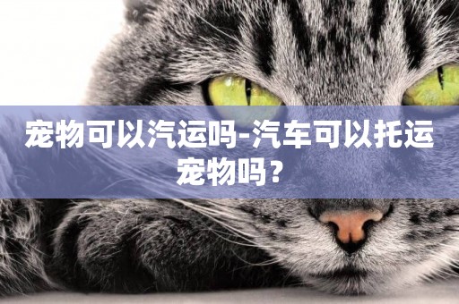 寵物可以汽運嗎-汽車可以托運寵物嗎？