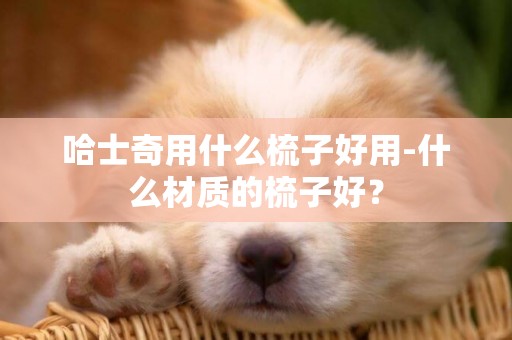 哈士奇用什么梳子好用-什么材質的梳子好？
