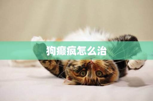 狗癲瘋怎么治