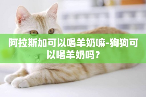 阿拉斯加可以喝羊奶嘛-狗狗可以喝羊奶嗎？