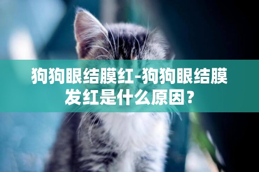 狗狗眼結膜紅-狗狗眼結膜發紅是什么原因？