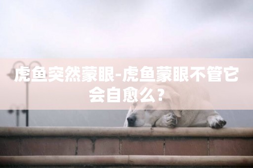 虎魚突然蒙眼-虎魚蒙眼不管它會自愈么？