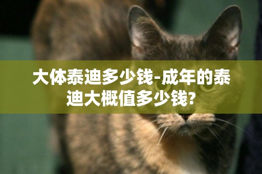 大體泰迪多少錢-成年的泰迪大概值多少錢?