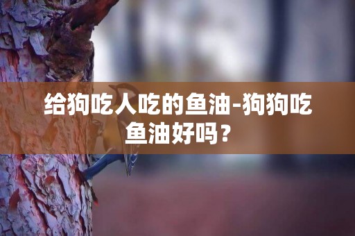 給狗吃人吃的魚油-狗狗吃魚油好嗎？