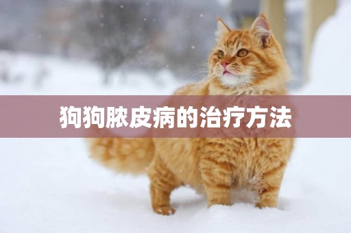 狗狗膿皮病的治療方法