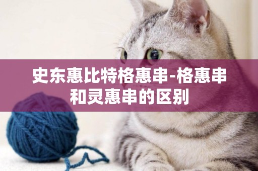 史東惠比特格惠串-格惠串和靈惠串的區別