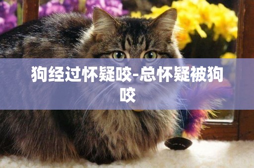 狗經過懷疑咬-總懷疑被狗咬