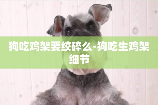 狗吃雞架要絞碎么-狗吃生雞架細節