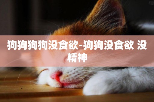 狗狗狗狗沒食欲-狗狗沒食欲 沒精神
