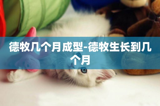 德牧幾個月成型-德牧生長到幾個月