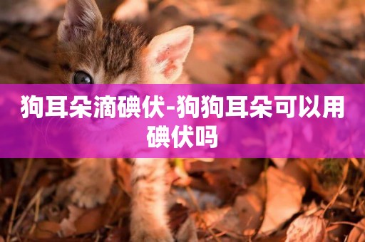 狗耳朵滴碘伏-狗狗耳朵可以用碘伏嗎