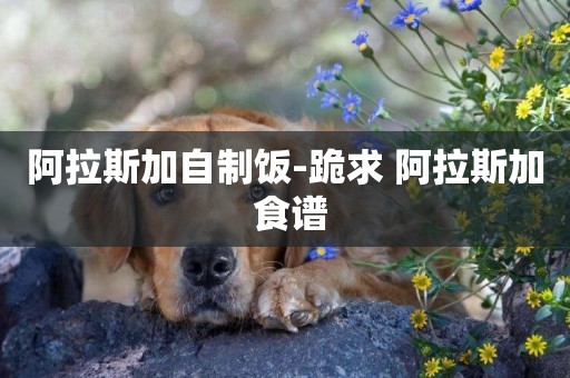 阿拉斯加自制飯-跪求 阿拉斯加 食譜