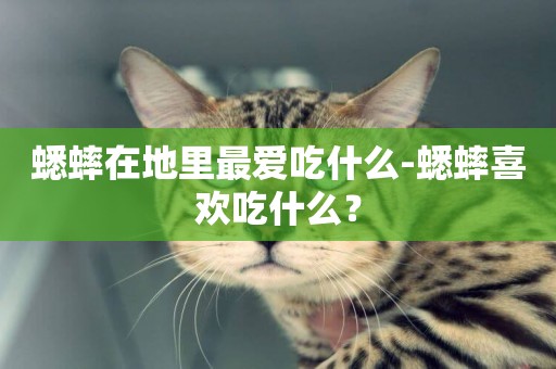 蟋蟀在地里最愛吃什么-蟋蟀喜歡吃什么？