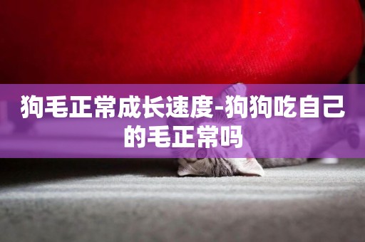 狗毛正常成長速度-狗狗吃自己的毛正常嗎