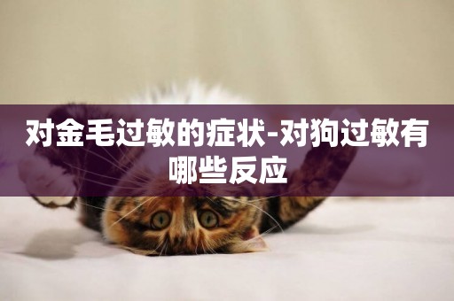 對金毛過敏的癥狀-對狗過敏有哪些反應