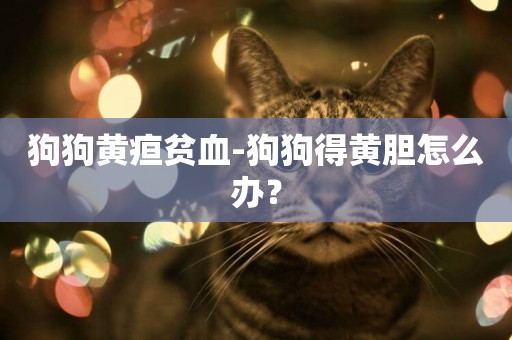 狗狗黃疸貧血-狗狗得黃膽怎么辦？
