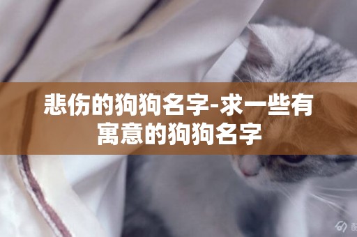 悲傷的狗狗名字-求一些有寓意的狗狗名字