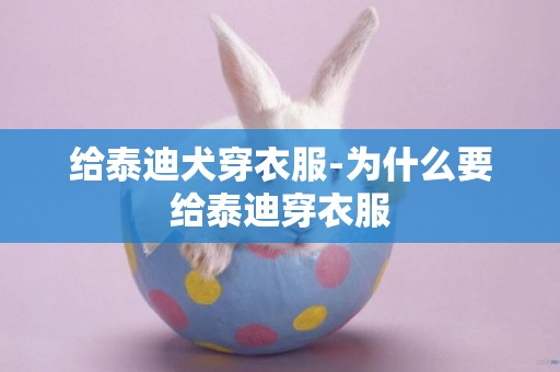 給泰迪犬穿衣服-為什么要給泰迪穿衣服