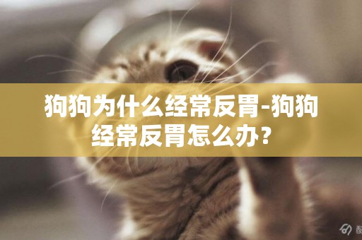 狗狗為什么經常反胃-狗狗經常反胃怎么辦？