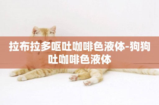 拉布拉多嘔吐咖啡色液體-狗狗吐咖啡色液體
