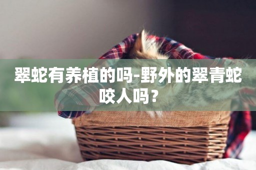 翠蛇有養植的嗎-野外的翠青蛇咬人嗎？