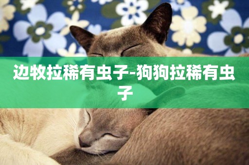 邊牧拉稀有蟲子-狗狗拉稀有蟲子