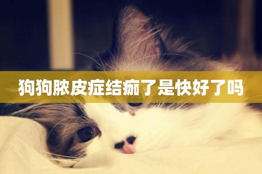 狗狗膿皮癥結痂了是快好了嗎