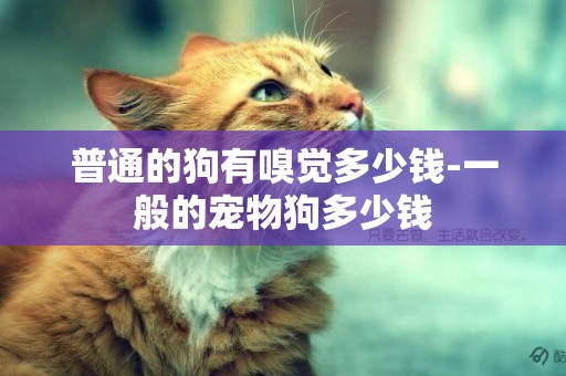 普通的狗有嗅覺多少錢-一般的寵物狗多少錢