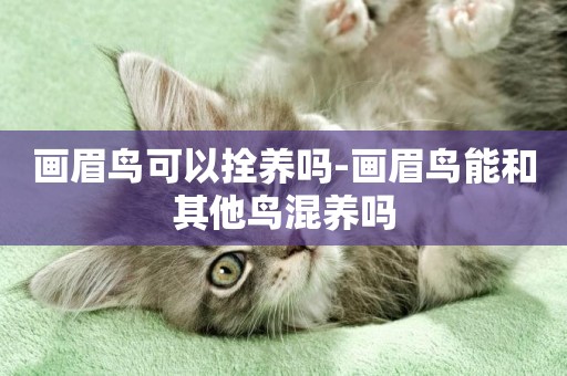 畫眉鳥可以拴養嗎-畫眉鳥能和其他鳥混養嗎