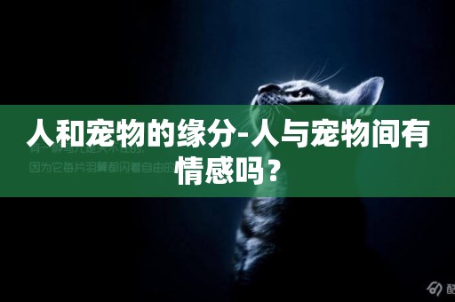 人和寵物的緣分-人與寵物間有情感嗎？