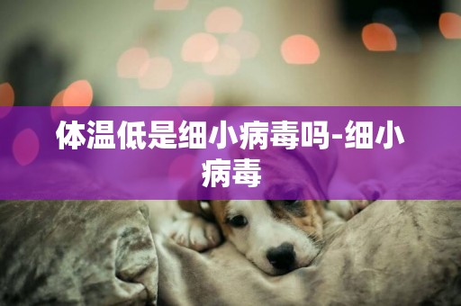 體溫低是細小病毒嗎-細小病毒