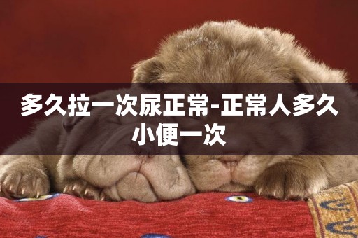 多久拉一次尿正常-正常人多久小便一次