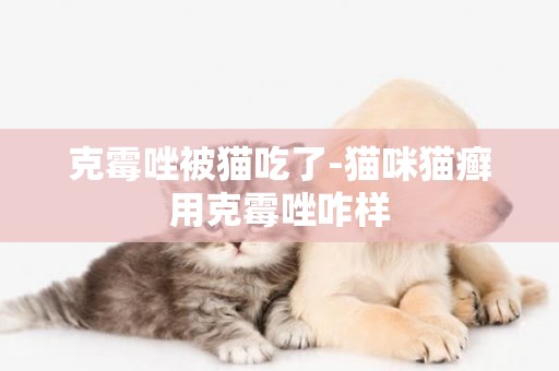 克霉唑被貓吃了-貓咪貓癬用克霉唑咋樣