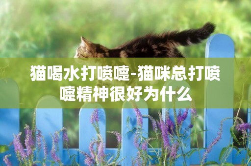 貓喝水打噴嚏-貓咪總打噴嚏精神很好為什么