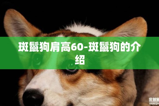 斑鬣狗肩高60-斑鬣狗的介紹