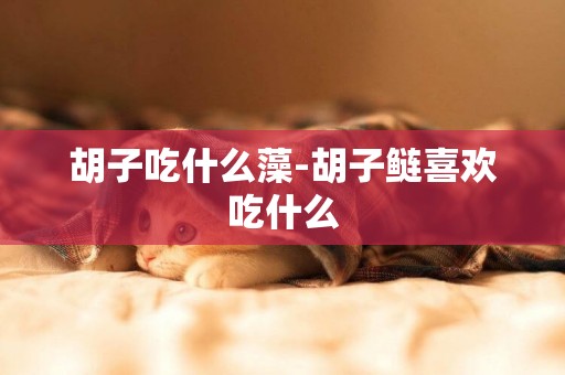 胡子吃什么藻-胡子鰱喜歡吃什么