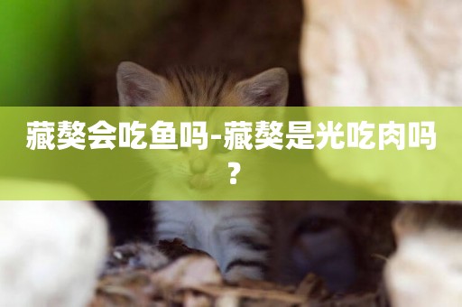 藏獒會吃魚嗎-藏獒是光吃肉嗎？