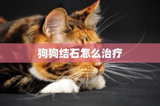 狗狗結石怎么治療