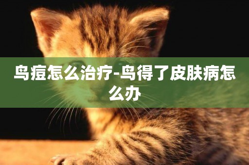 鳥痘怎么治療-鳥得了皮膚病怎么辦