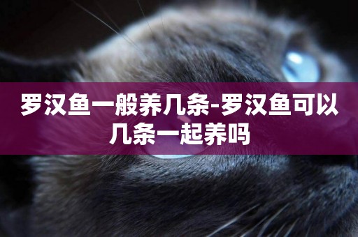 羅漢魚一般養幾條-羅漢魚可以幾條一起養嗎