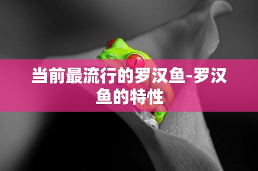 當前最流行的羅漢魚-羅漢魚的特性