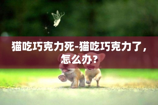 貓吃巧克力死-貓吃巧克力了，怎么辦？