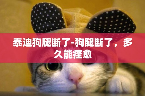 泰迪狗腿斷了-狗腿斷了，多久能痊愈