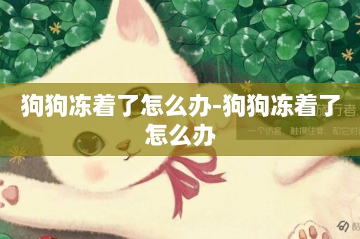 狗狗凍著了怎么辦-狗狗凍著了怎么辦