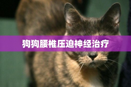 狗狗腰椎壓迫神經治療