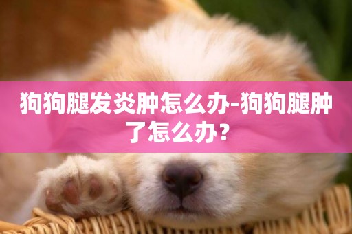 狗狗腿發炎腫怎么辦-狗狗腿腫了怎么辦？