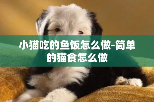 小貓吃的魚飯怎么做-簡單的貓食怎么做